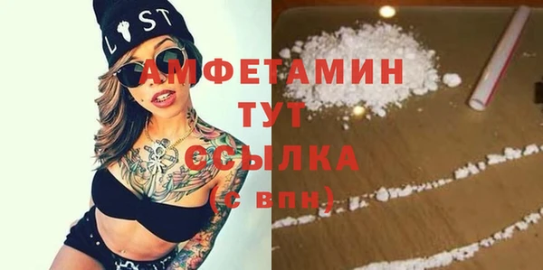 МДПВ Снежногорск