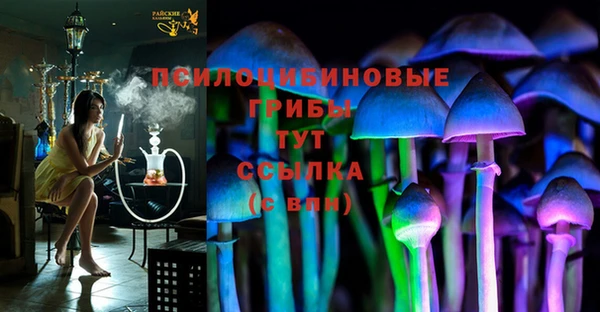 винт Алексин