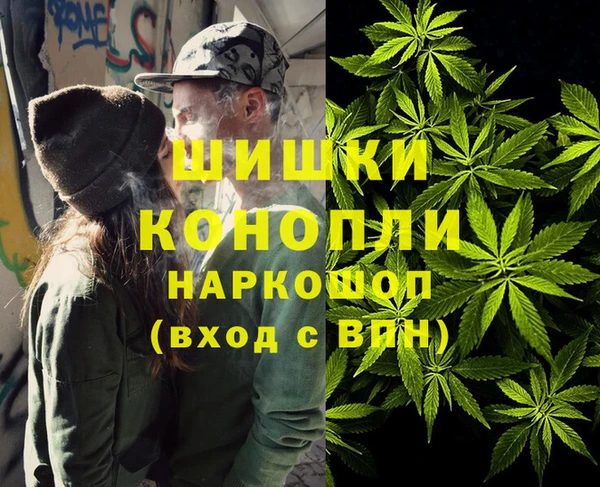 винт Алексин